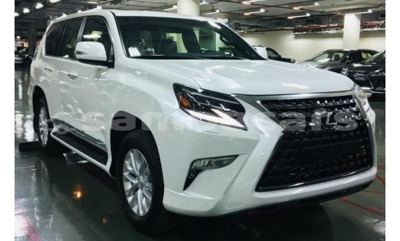Buy Import Lexus GX White Car in Import - Dubai in A'ana Buy Import Lexus GX White Car in Import - Dubai in A'ana