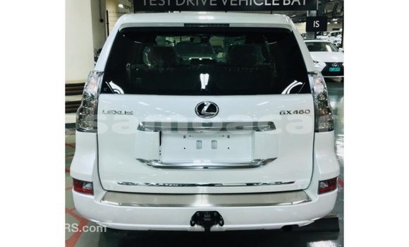 Buy Import Lexus GX White Car in Import - Dubai in A'ana Buy Import Lexus GX White Car in Import - Dubai in A'ana