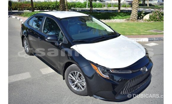 Buy Import Toyota Corolla Black Car in Import - Dubai in A'ana Buy Import Toyota Corolla Black Car in Import - Dubai in A'ana