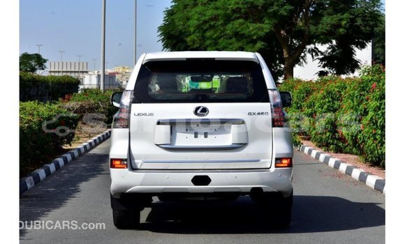 Buy Import Lexus GX White Car in Import - Dubai in A'ana Buy Import Lexus GX White Car in Import - Dubai in A'ana