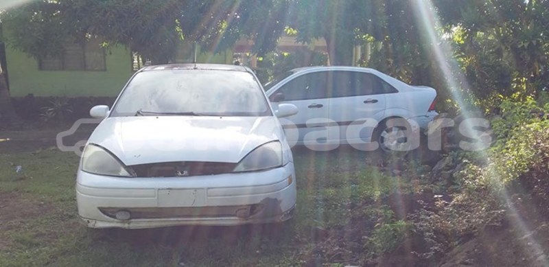 Big with watermark 45494989 145549439743856 5619058520256151552 o