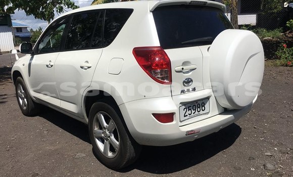 Acheter Import Voiture Toyota RAV4 Blanc à Apia, Tuamasaga Acheter Import Voiture Toyota RAV4 Blanc à Apia, Tuamasaga