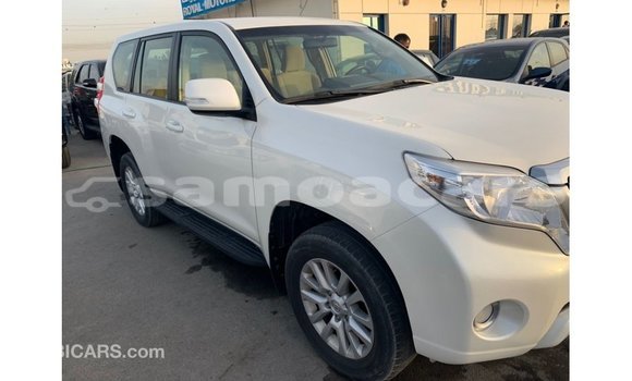 Buy Import Toyota Prado White Car in Import - Dubai in A'ana Buy Import Toyota Prado White Car in Import - Dubai in A'ana