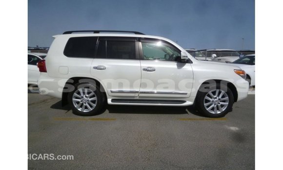 Buy Import Toyota Land Cruiser White Car in Import - Dubai in A'ana Buy Import Toyota Land Cruiser White Car in Import - Dubai in A'ana