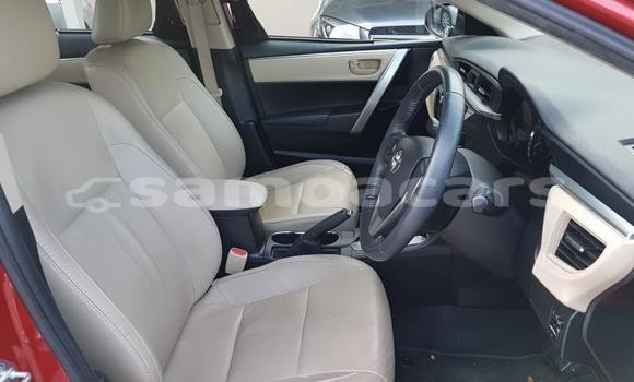 Buy Used Toyota Corolla Other Car in Apia in Tuamasaga Buy Used Toyota Corolla Other Car in Apia in Tuamasaga