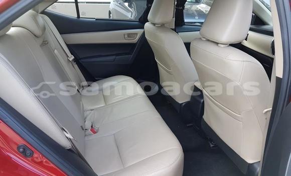 Buy Used Toyota Corolla Other Car in Apia in Tuamasaga Buy Used Toyota Corolla Other Car in Apia in Tuamasaga