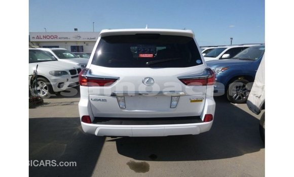Buy Import Lexus LX White Car in Import - Dubai in A'ana Buy Import Lexus LX White Car in Import - Dubai in A'ana
