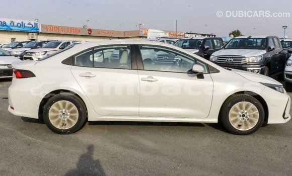 Acheter Import Voiture Toyota Corolla Blanc à Import - Dubai, A'ana Acheter Import Voiture Toyota Corolla Blanc à Import - Dubai, A'ana