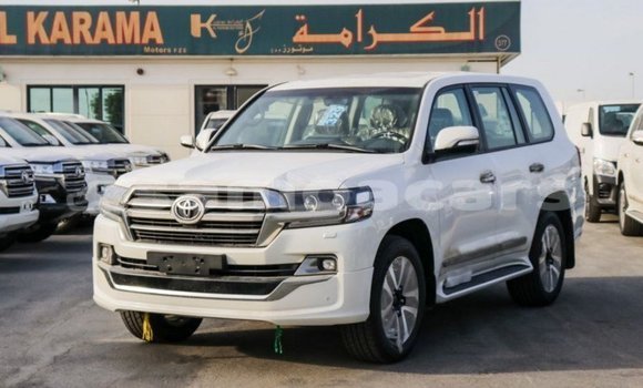 Acheter Import Voiture Toyota Land Cruiser Blanc à Import - Dubai, A'ana Acheter Import Voiture Toyota Land Cruiser Blanc à Import - Dubai, A'ana