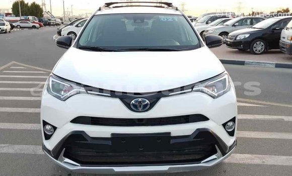 Acheter Import Voiture Toyota RAV4 Blanc à Import - Dubai, A'ana Acheter Import Voiture Toyota RAV4 Blanc à Import - Dubai, A'ana