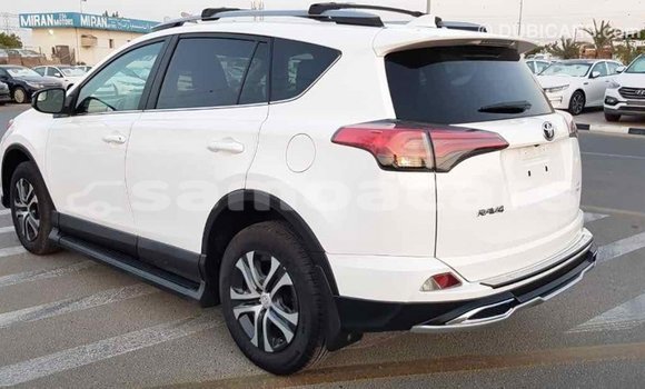 Acheter Import Voiture Toyota RAV4 Blanc à Import - Dubai, A'ana Acheter Import Voiture Toyota RAV4 Blanc à Import - Dubai, A'ana