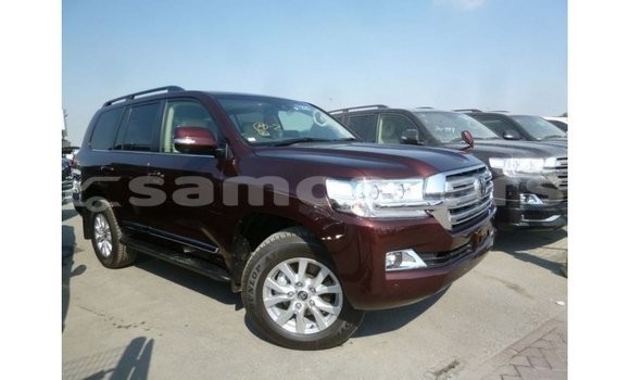 Buy Import Toyota Land Cruiser Brown Car in Import - Dubai in A'ana Buy Import Toyota Land Cruiser Brown Car in Import - Dubai in A'ana