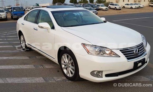 Acheter Import Voiture Lexus ES Blanc à Import - Dubai, A'ana Acheter Import Voiture Lexus ES Blanc à Import - Dubai, A'ana
