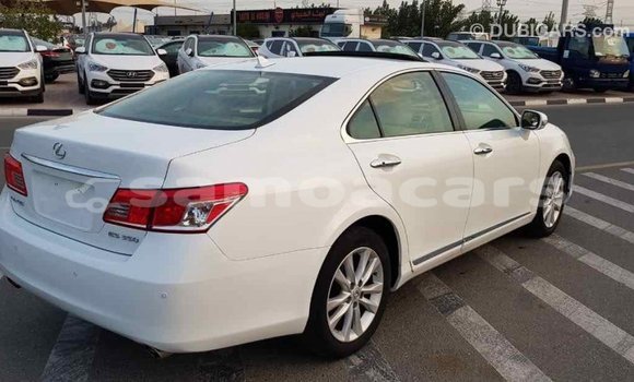 Acheter Import Voiture Lexus ES Blanc à Import - Dubai, A'ana Acheter Import Voiture Lexus ES Blanc à Import - Dubai, A'ana