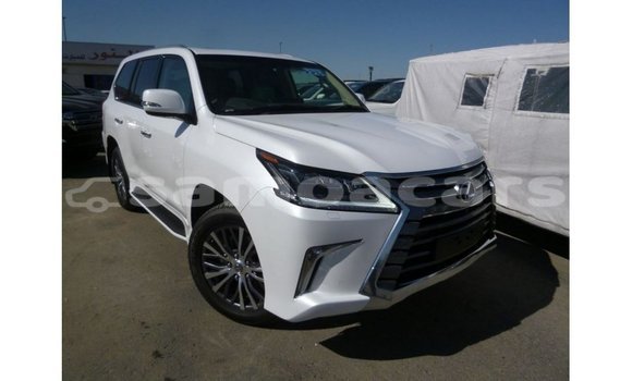 Buy Import Lexus LX White Car in Import - Dubai in A'ana Buy Import Lexus LX White Car in Import - Dubai in A'ana