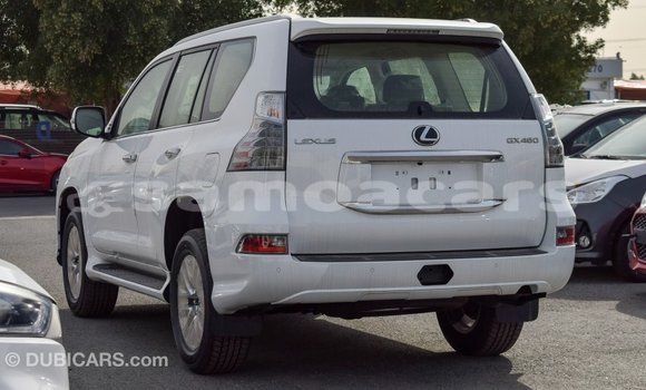 Buy Import Lexus GX White Car in Import - Dubai in A'ana Buy Import Lexus GX White Car in Import - Dubai in A'ana