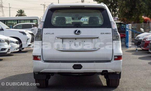 Buy Import Lexus GX White Car in Import - Dubai in A'ana Buy Import Lexus GX White Car in Import - Dubai in A'ana