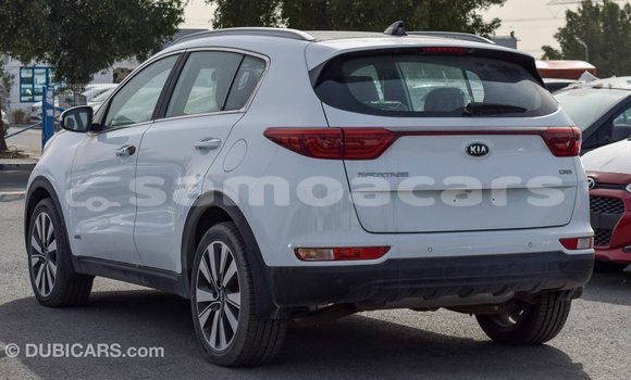 Buy Import Kia Sportage White Car in Import - Dubai in A'ana Buy Import Kia Sportage White Car in Import - Dubai in A'ana