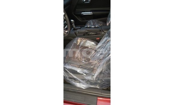 Acheter Import Voiture Ford Mustang Rouge à Import - Dubai, A'ana Acheter Import Voiture Ford Mustang Rouge à Import - Dubai, A'ana