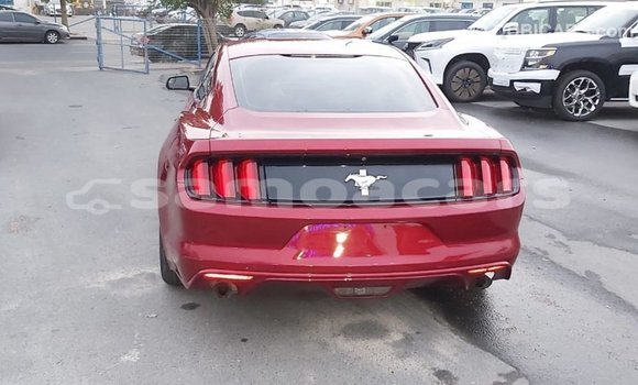 Acheter Import Voiture Ford Mustang Rouge à Import - Dubai, A'ana Acheter Import Voiture Ford Mustang Rouge à Import - Dubai, A'ana