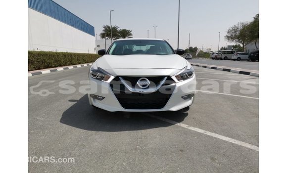 Acheter Import Voiture Nissan Maxima Blanc à Import - Dubai, A'ana Acheter Import Voiture Nissan Maxima Blanc à Import - Dubai, A'ana