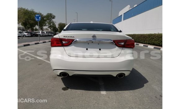 Acheter Import Voiture Nissan Maxima Blanc à Import - Dubai, A'ana Acheter Import Voiture Nissan Maxima Blanc à Import - Dubai, A'ana