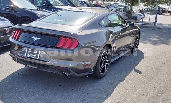 Acheter Import Voiture Ford Mustang Autre à Import - Dubai, A'ana Acheter Import Voiture Ford Mustang Autre à Import - Dubai, A'ana