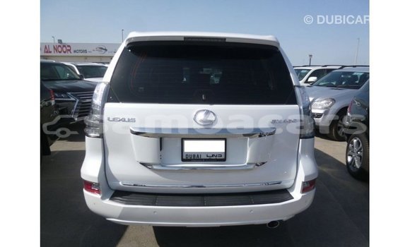 Buy Import Lexus GX White Car in Import - Dubai in A'ana Buy Import Lexus GX White Car in Import - Dubai in A'ana