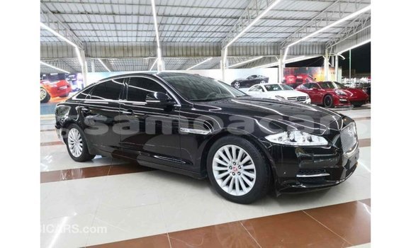 Buy Import Jaguar XJ Black Car in Import - Dubai in A'ana Buy Import Jaguar XJ Black Car in Import - Dubai in A'ana