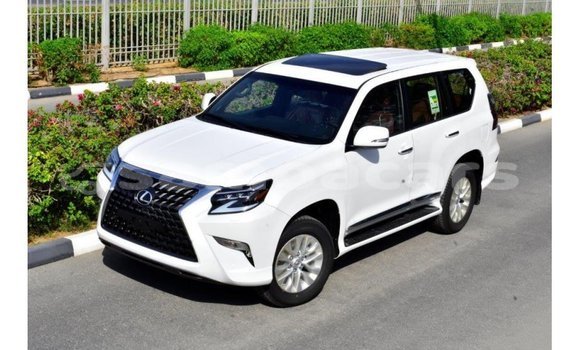Buy Import Lexus GX White Car in Import - Dubai in A'ana Buy Import Lexus GX White Car in Import - Dubai in A'ana