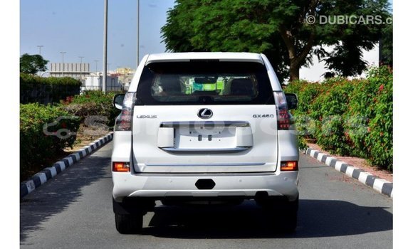 Buy Import Lexus GX White Car in Import - Dubai in A'ana Buy Import Lexus GX White Car in Import - Dubai in A'ana