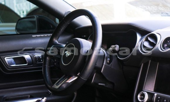 Buy Import Ford Mustang Green Car in Import - Dubai in A'ana Buy Import Ford Mustang Green Car in Import - Dubai in A'ana