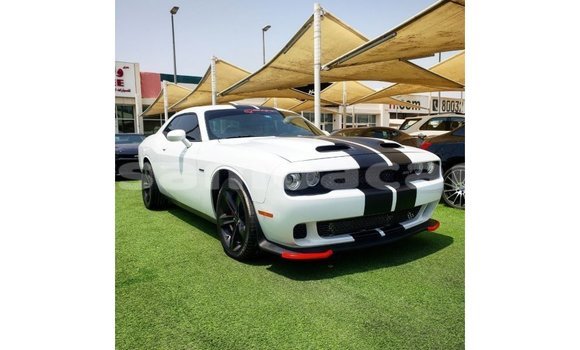 Acheter Import Voiture Dodge Challenger Blanc à Import - Dubai, A'ana