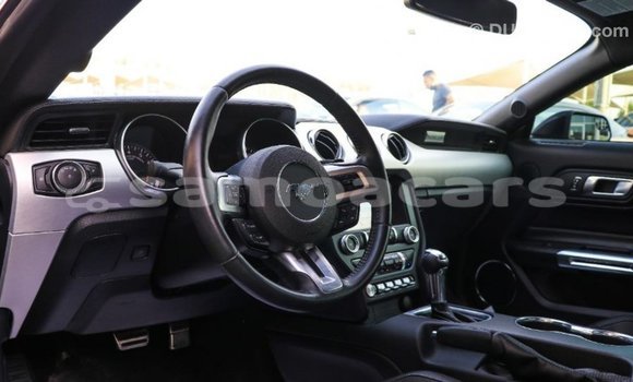 Buy Import Ford Mustang Black Car in Import - Dubai in A'ana Buy Import Ford Mustang Black Car in Import - Dubai in A'ana
