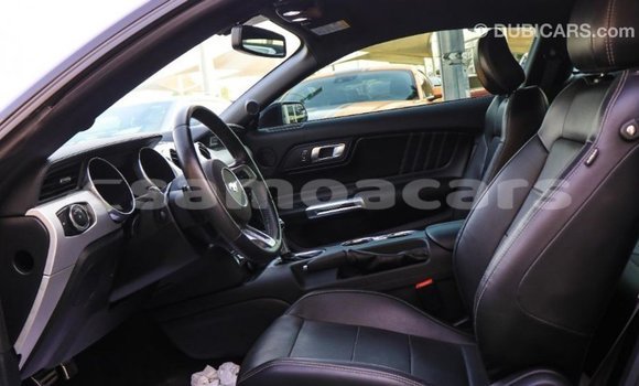 Buy Import Ford Mustang Black Car in Import - Dubai in A'ana Buy Import Ford Mustang Black Car in Import - Dubai in A'ana