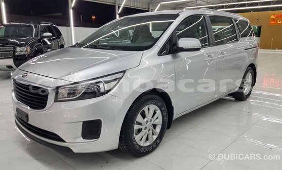 Buy Import Kia Carnival Other Car in Import - Dubai in A'ana Buy Import Kia Carnival Other Car in Import - Dubai in A'ana