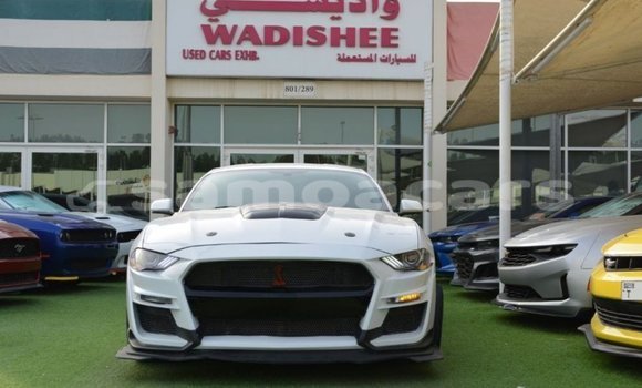 Acheter Import Voiture Ford Mustang Blanc à Import - Dubai, A'ana