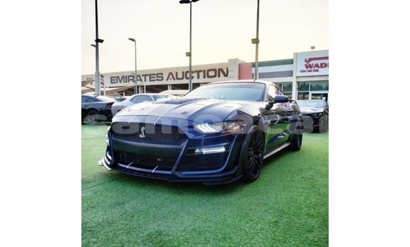 Acheter Import Voiture Ford Mustang Bleu à Import - Dubai, A'ana