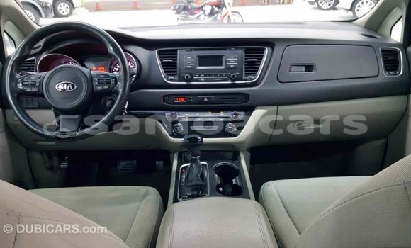Buy Import Kia Carnival Other Car in Import - Dubai in A'ana Buy Import Kia Carnival Other Car in Import - Dubai in A'ana