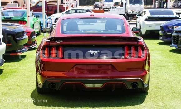 Buy Import Ford Mustang Red Car in Import - Dubai in A'ana Buy Import Ford Mustang Red Car in Import - Dubai in A'ana