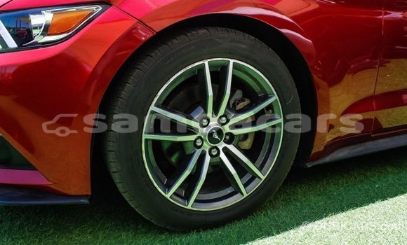 Buy Import Ford Mustang Red Car in Import - Dubai in A'ana Buy Import Ford Mustang Red Car in Import - Dubai in A'ana
