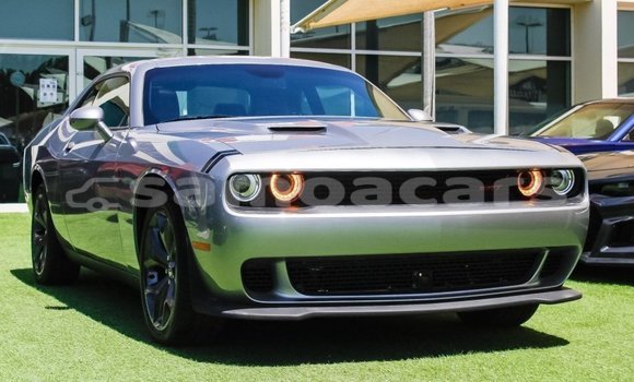 Acheter Import Voiture Dodge Challenger Autre à Import - Dubai, A'ana