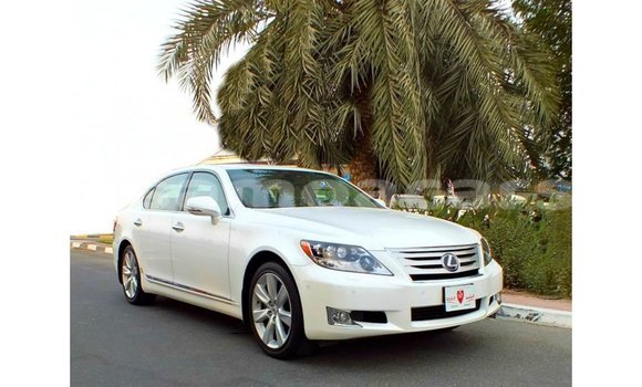 Acheter Import Voiture Lexus LS Blanc à Import - Dubai, A'ana