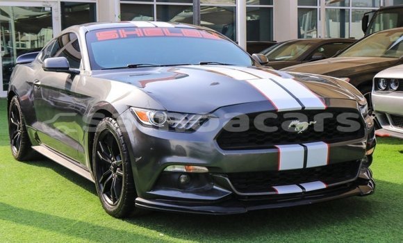 Acheter Import Voiture Ford Mustang Autre à Import - Dubai, A'ana