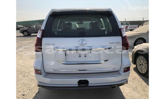 Acheter Import Voiture Lexus GX Blanc à Import - Dubai, A'ana Acheter Import Voiture Lexus GX Blanc à Import - Dubai, A'ana