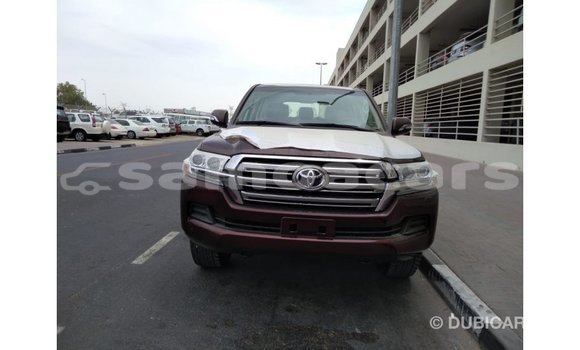 Acheter Import Voiture Toyota Land Cruiser Marron à Import - Dubai, A'ana Acheter Import Voiture Toyota Land Cruiser Marron à Import - Dubai, A'ana