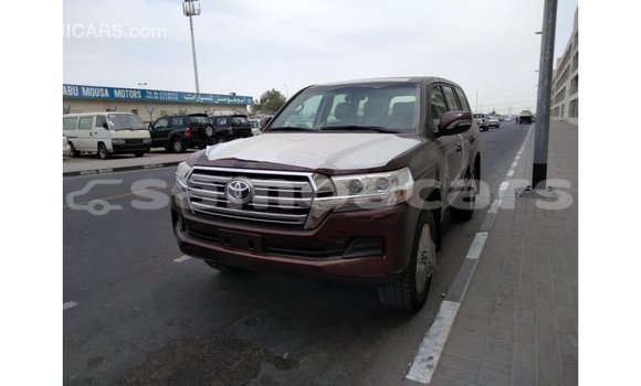 Acheter Import Voiture Toyota Land Cruiser Marron à Import - Dubai, A'ana Acheter Import Voiture Toyota Land Cruiser Marron à Import - Dubai, A'ana