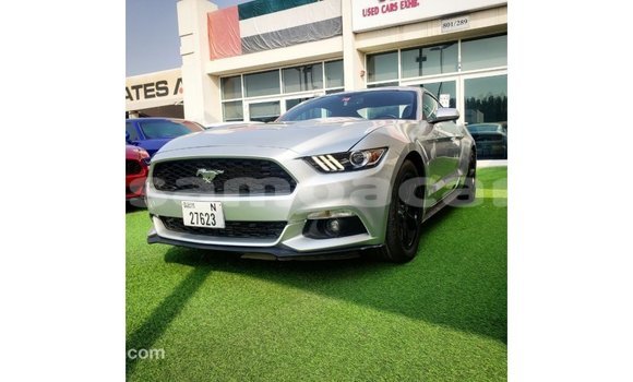 Buy Import Ford Mustang Other Car in Import - Dubai in A'ana Buy Import Ford Mustang Other Car in Import - Dubai in A'ana