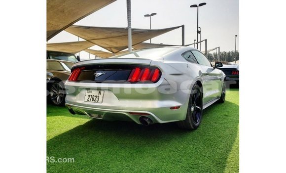 Buy Import Ford Mustang Other Car in Import - Dubai in A'ana Buy Import Ford Mustang Other Car in Import - Dubai in A'ana