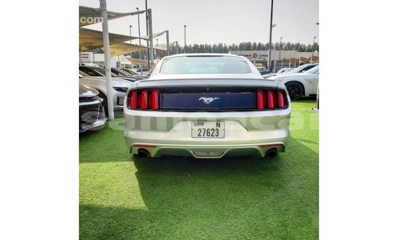 Buy Import Ford Mustang Other Car in Import - Dubai in A'ana Buy Import Ford Mustang Other Car in Import - Dubai in A'ana